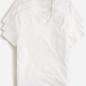 J.Crew V-neck Undershirt (2 Pack)
